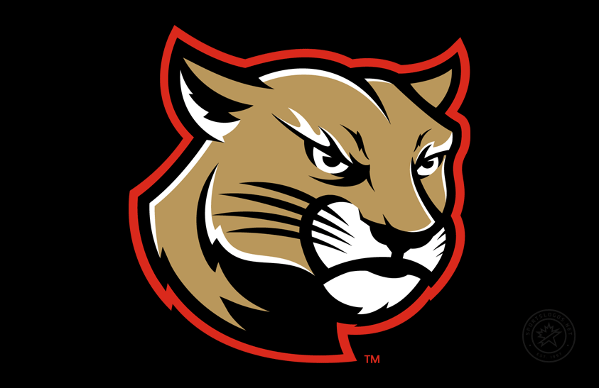 SIU Edwardsville Cougars 2023-Pres Alt on Dark Logo v2 diy iron on heat transfer